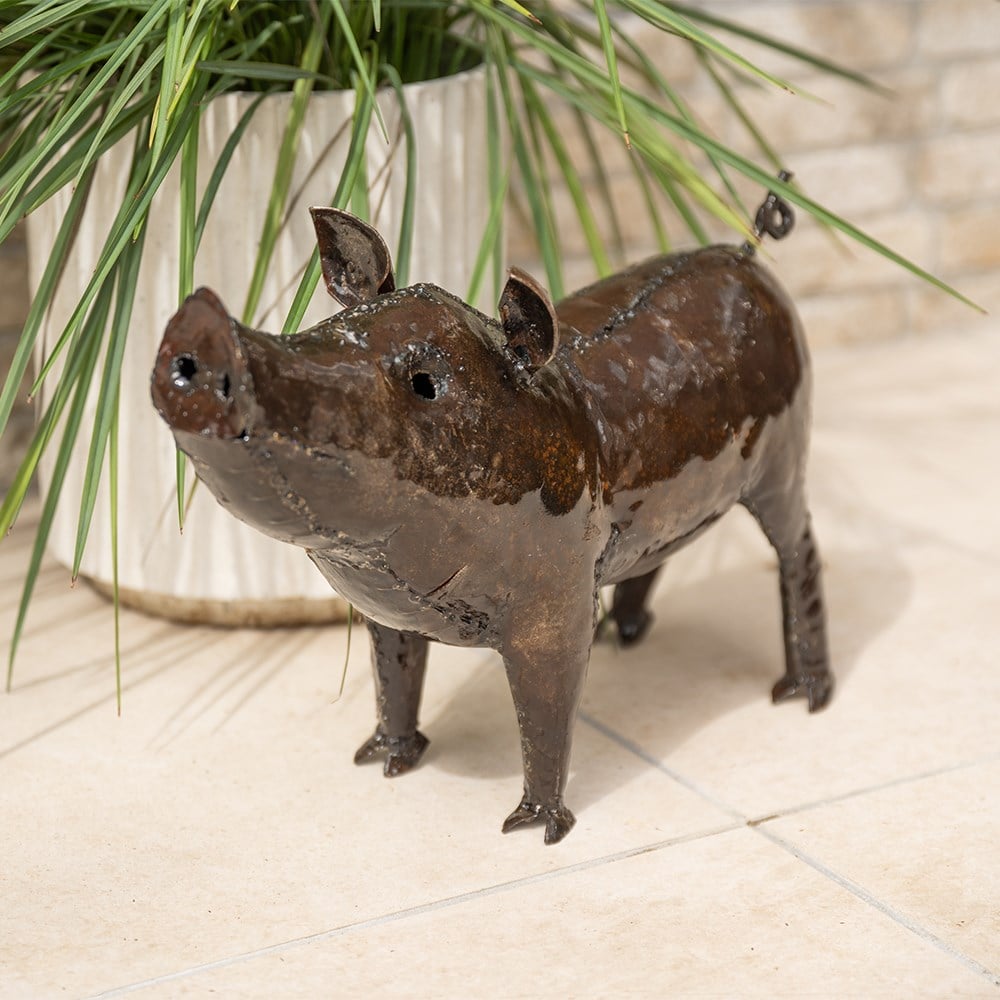 Product options image