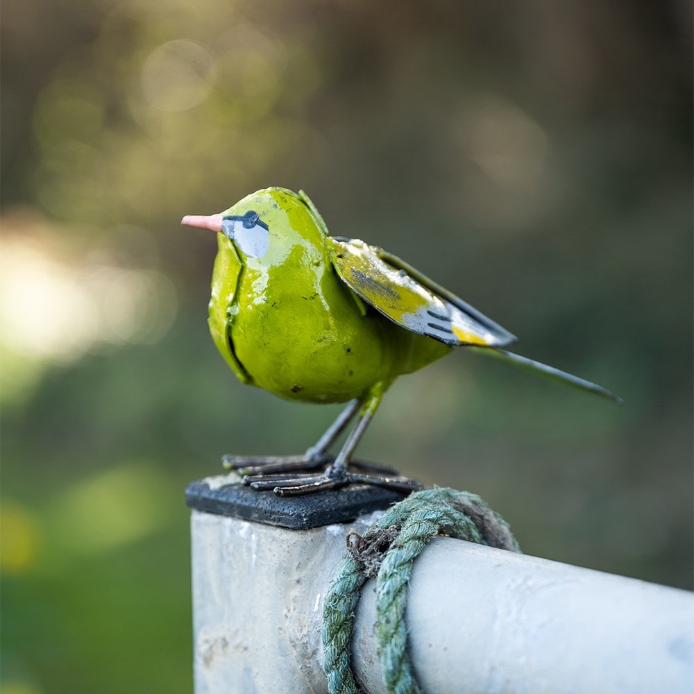 Product options image