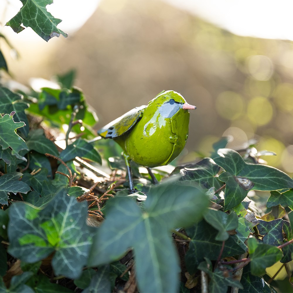 Greenfinch ornament