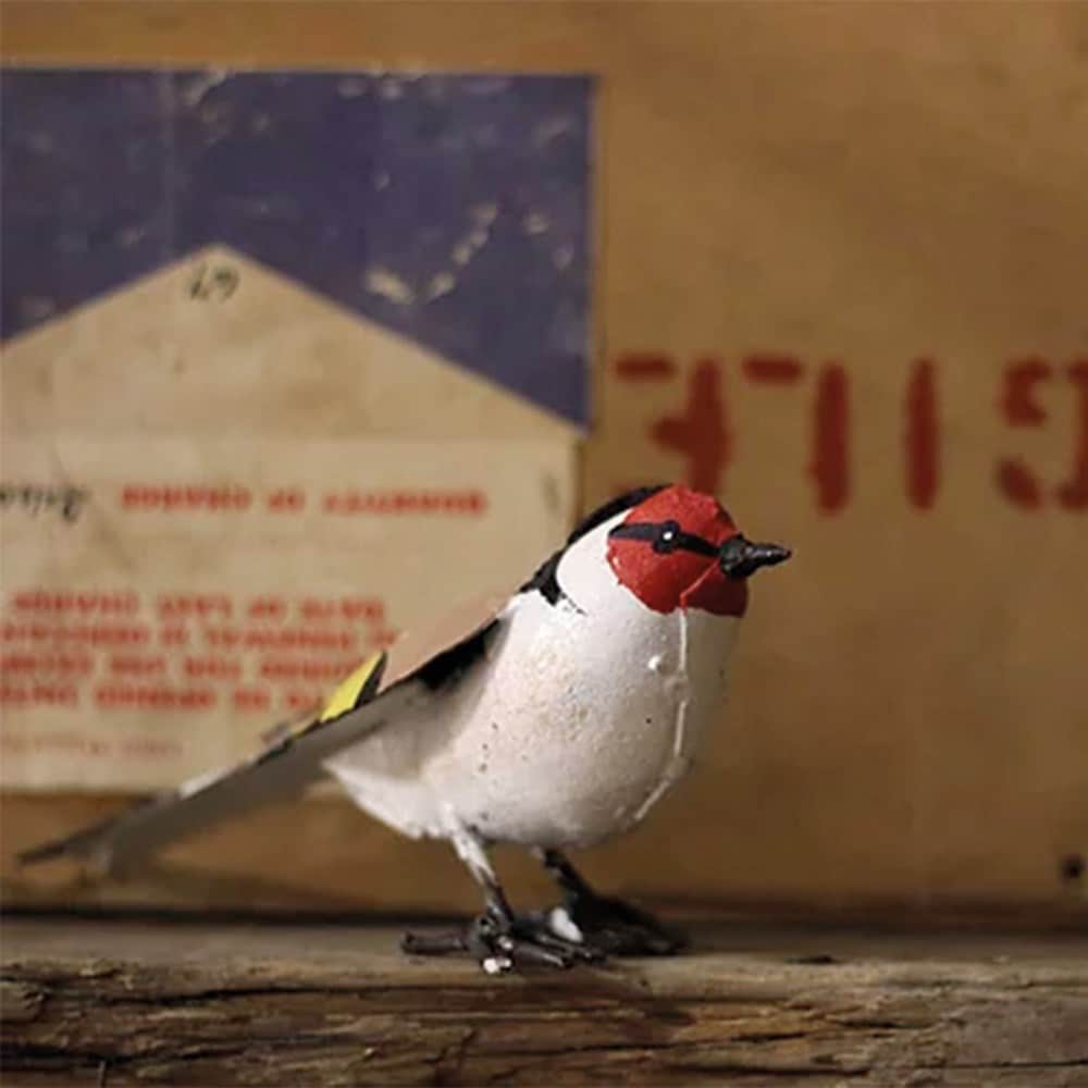 Product options image