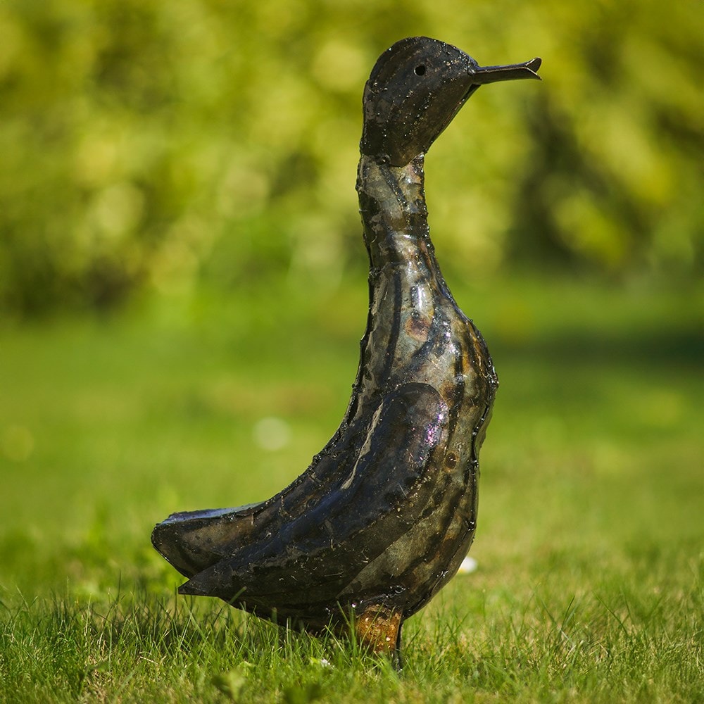 Product options image