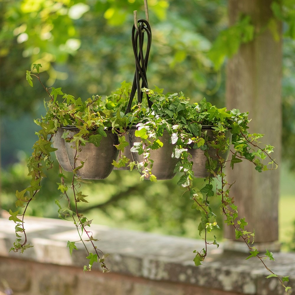 Hanging chandelier pots