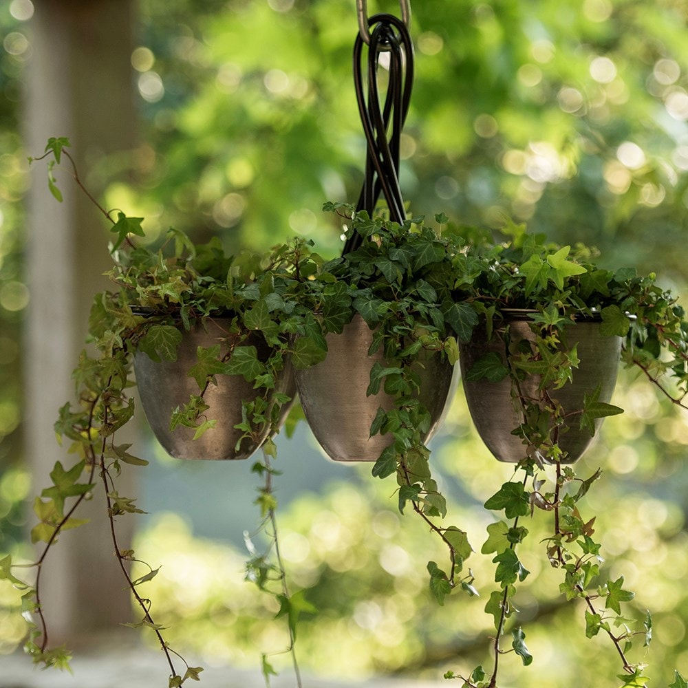 Hanging chandelier pots