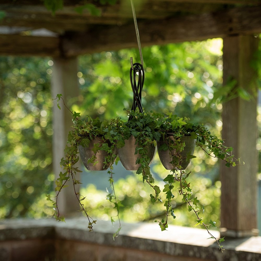 Hanging chandelier pots