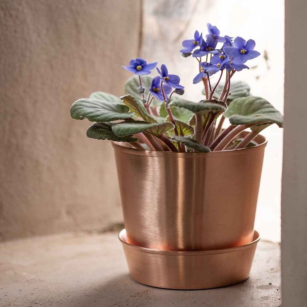 Product options image