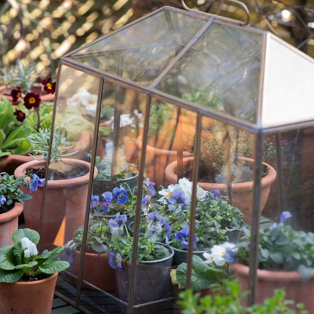 Glass and brass tent cloche