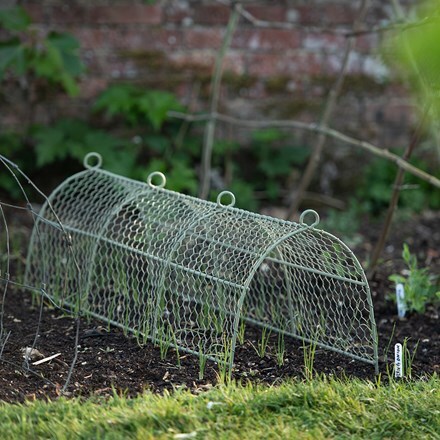 Deer cloche