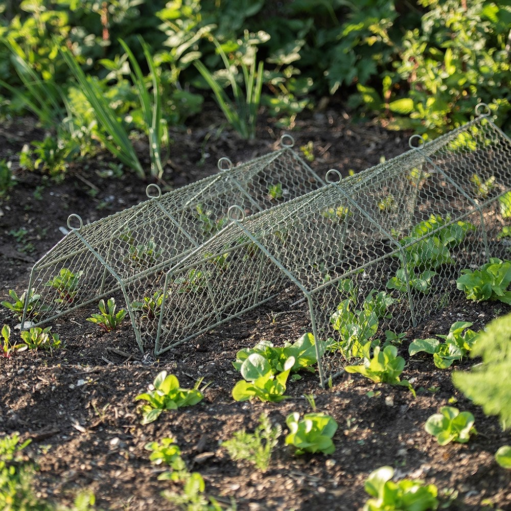 Cloches