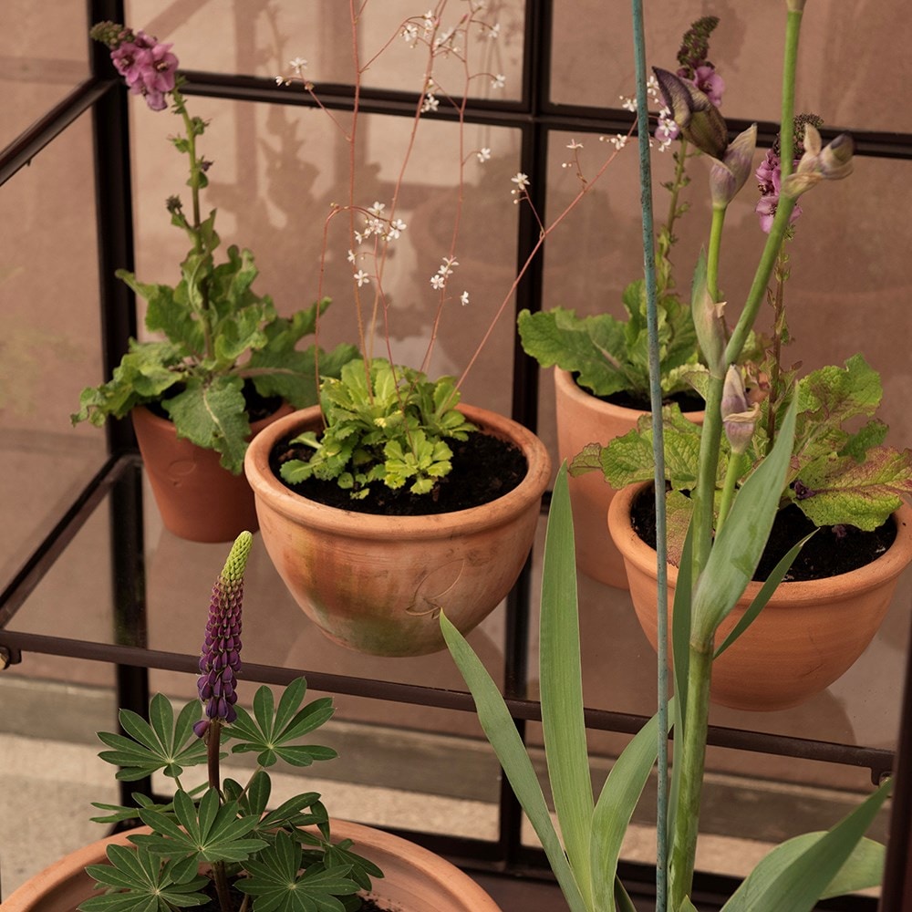 Gardener's terrace growhouse