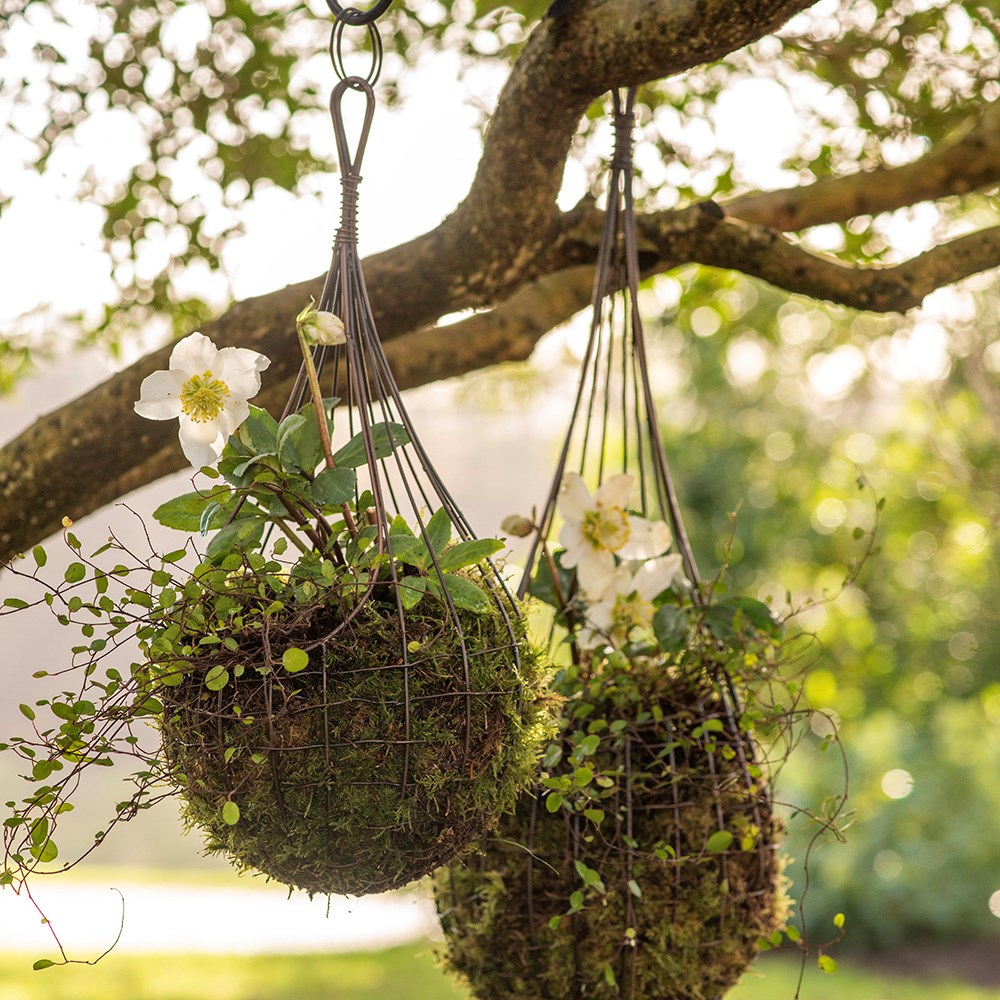 Product options image