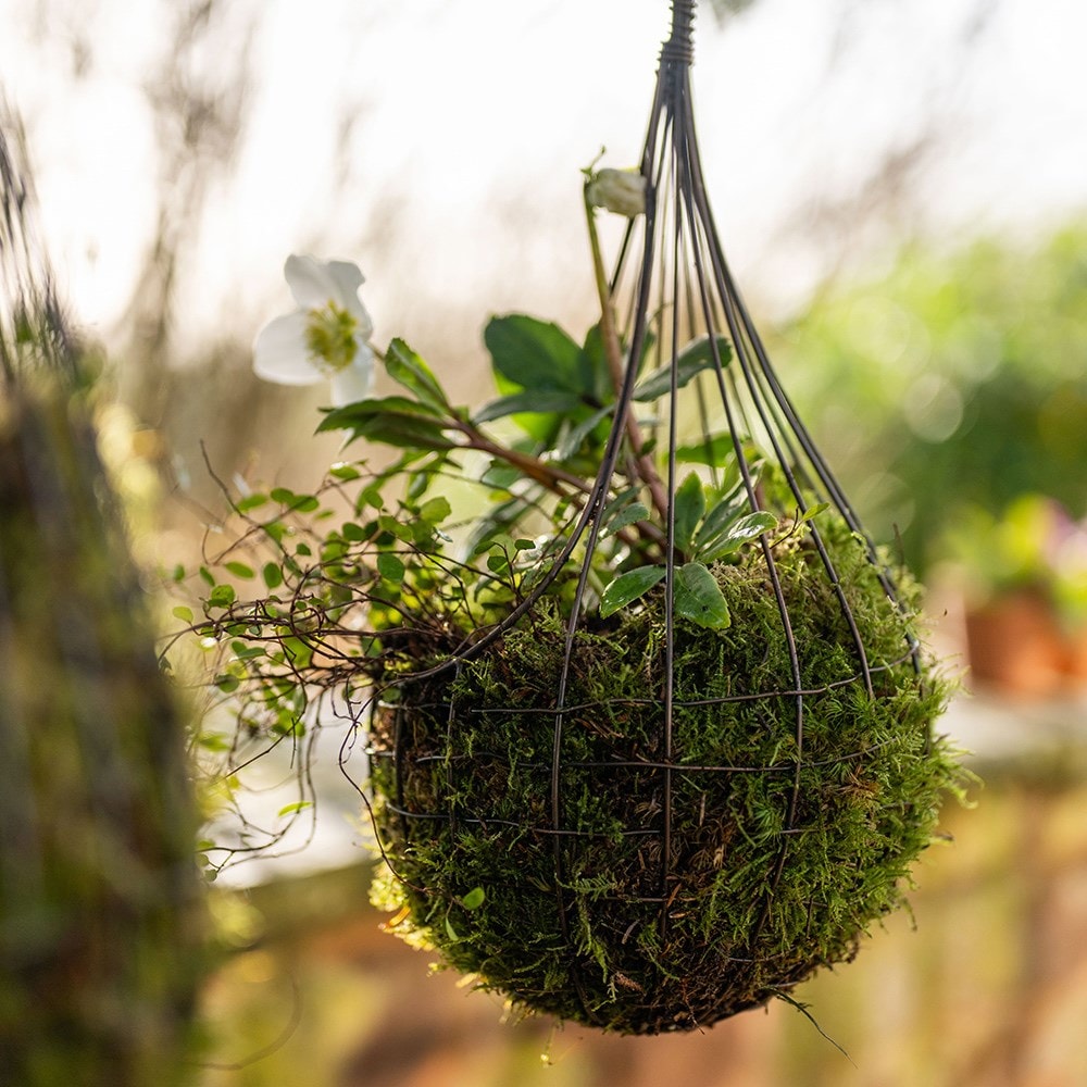 Weaver nest basket