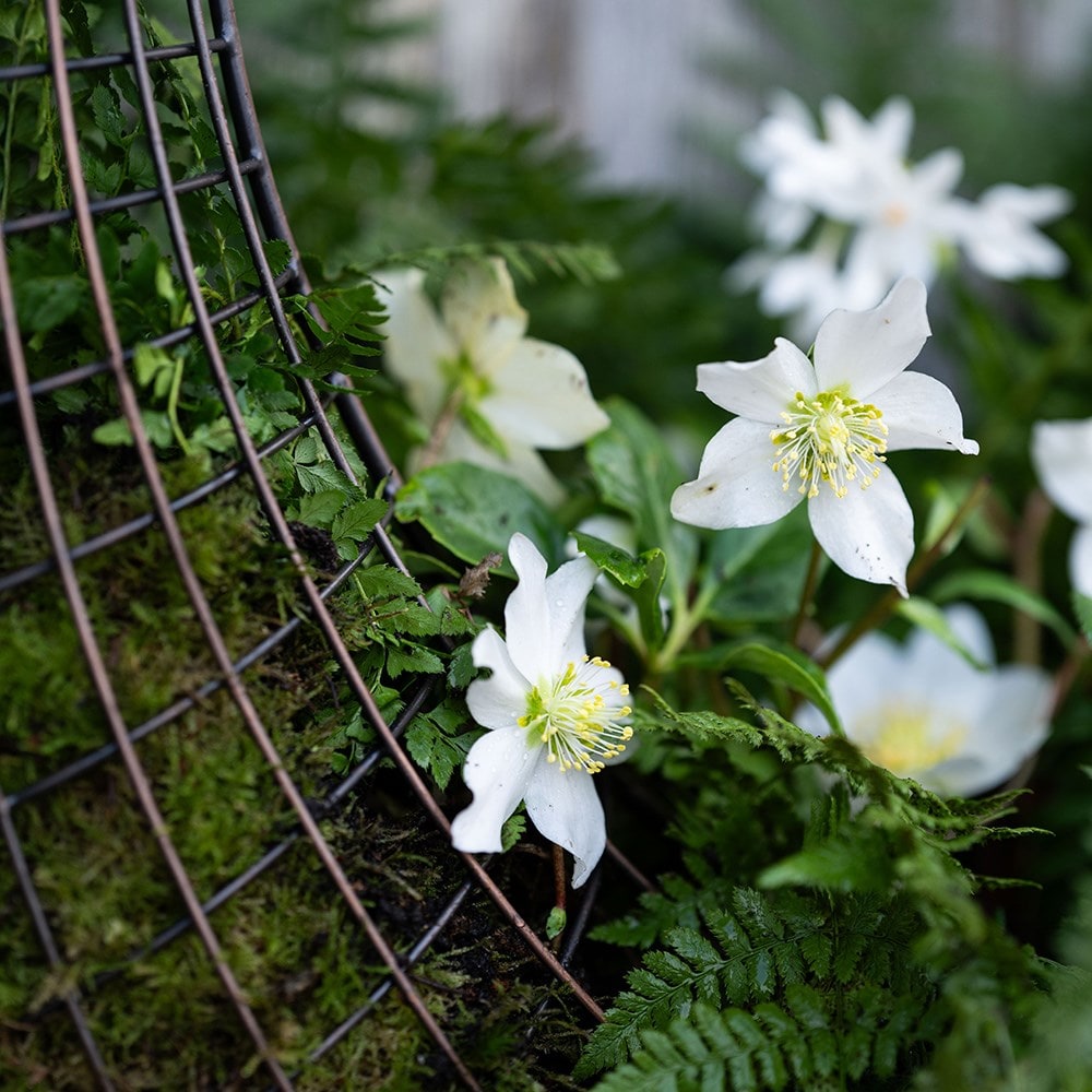 Wreath basket - medium