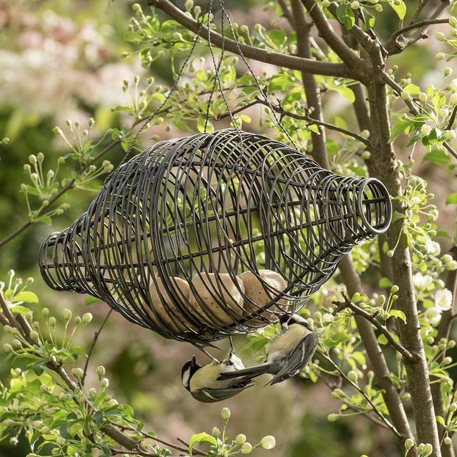 Squirrel proof bird feeder