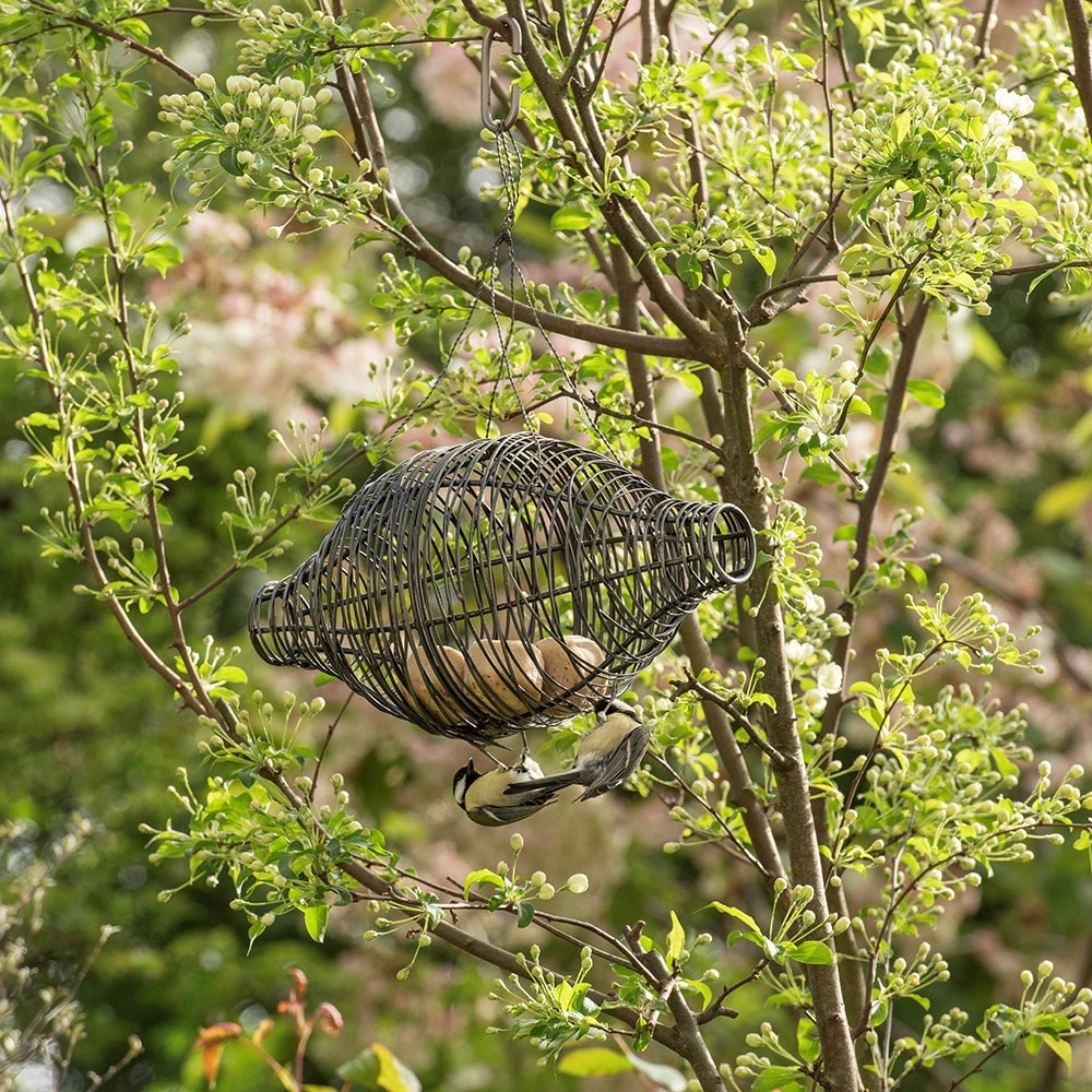 Squirrel proof bird feeder