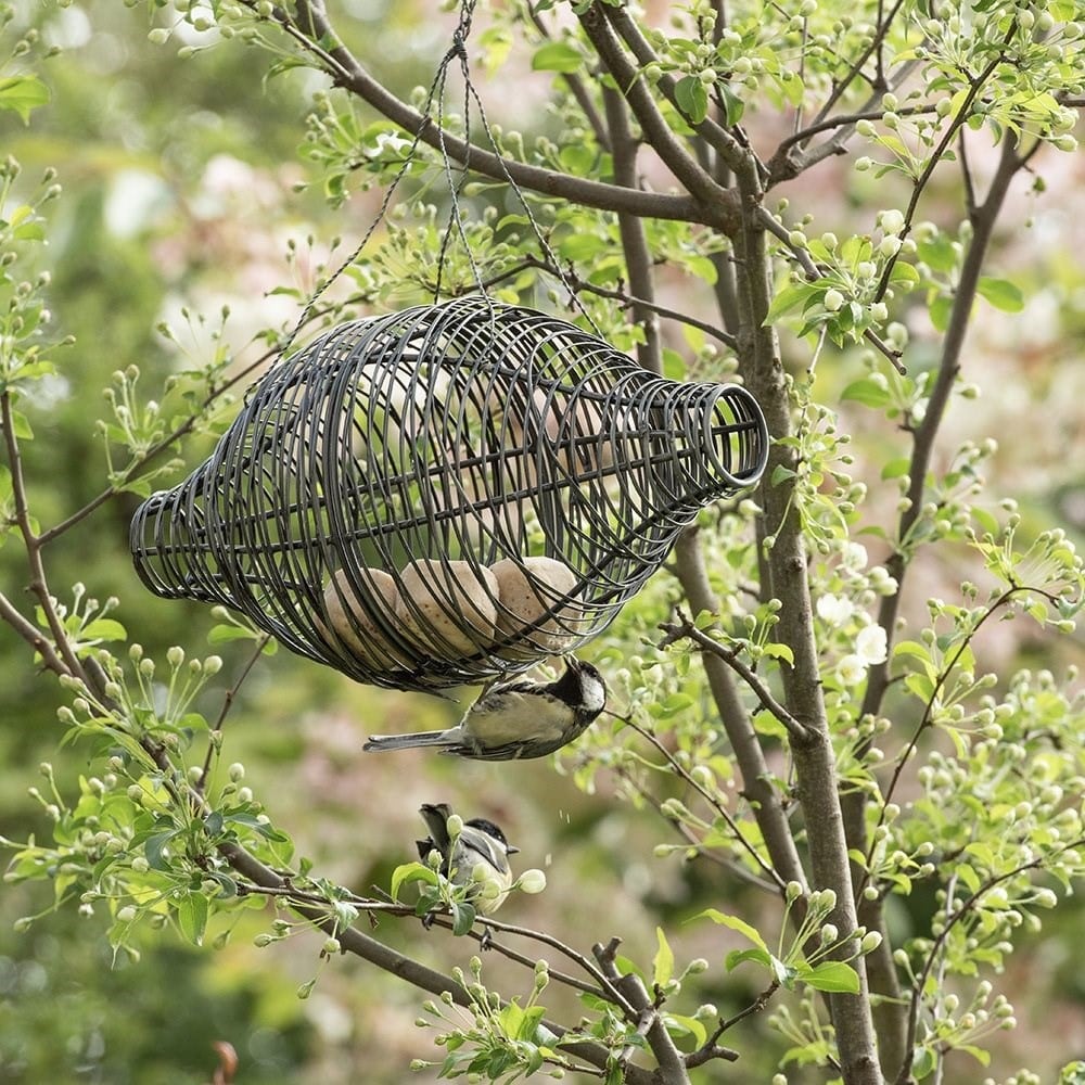 Squirrel proof bird feeder