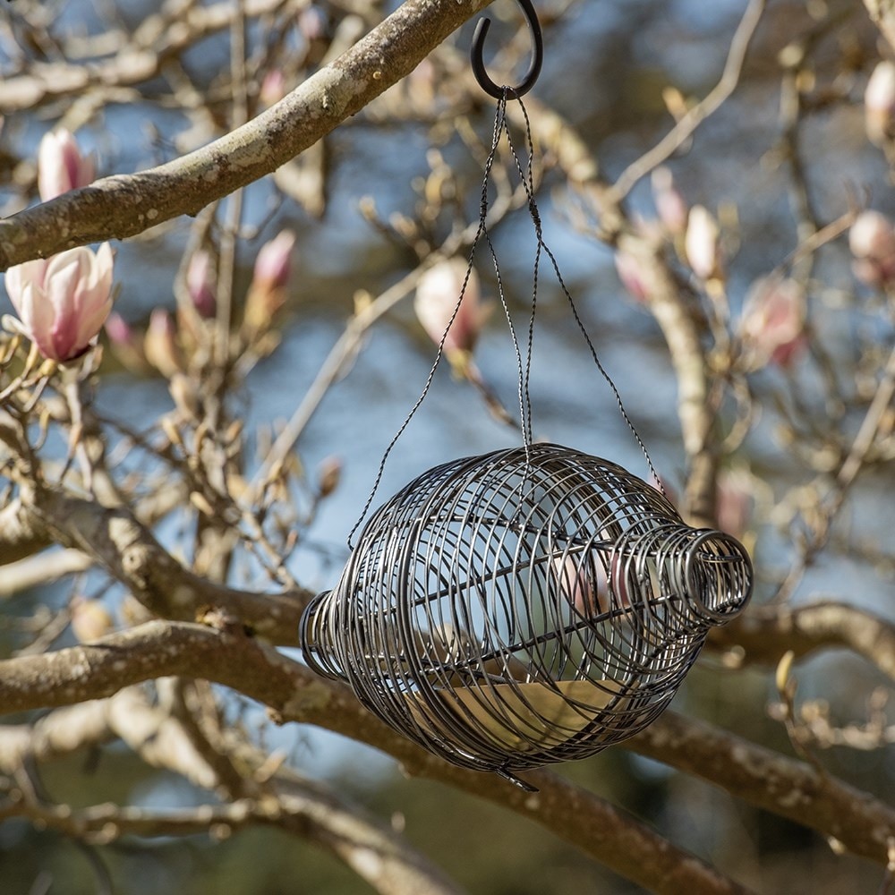 Squirrel proof bird feeder