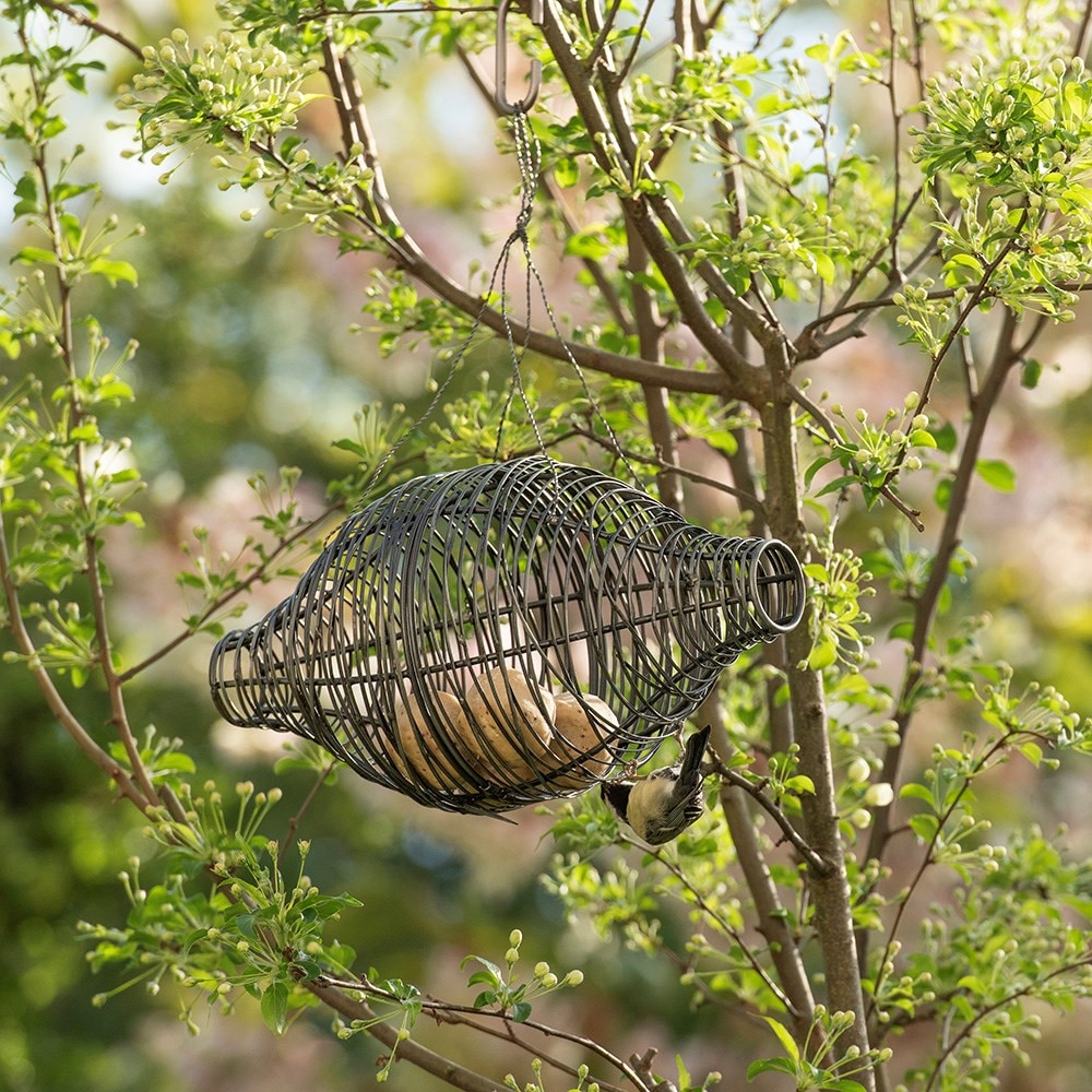 Squirrel proof bird feeder