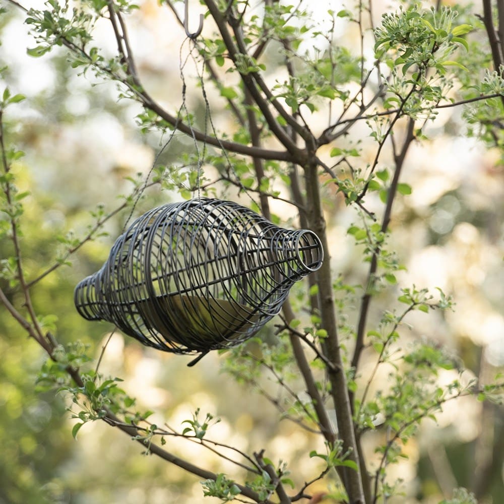 Squirrel proof bird feeder