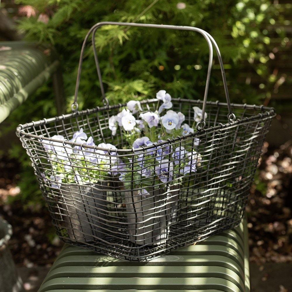 Product options image