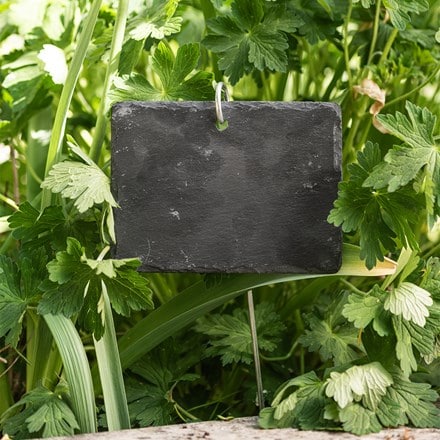 Large slate plant label - set of 4