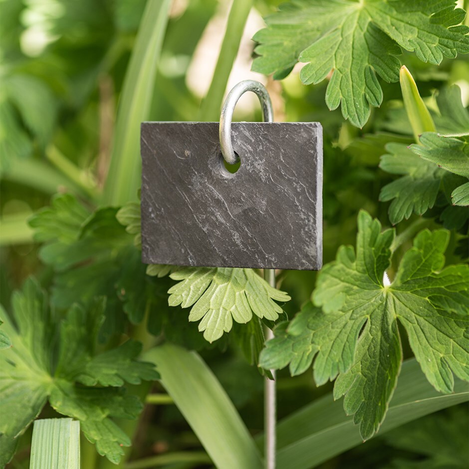 Slate plant label - set of 4