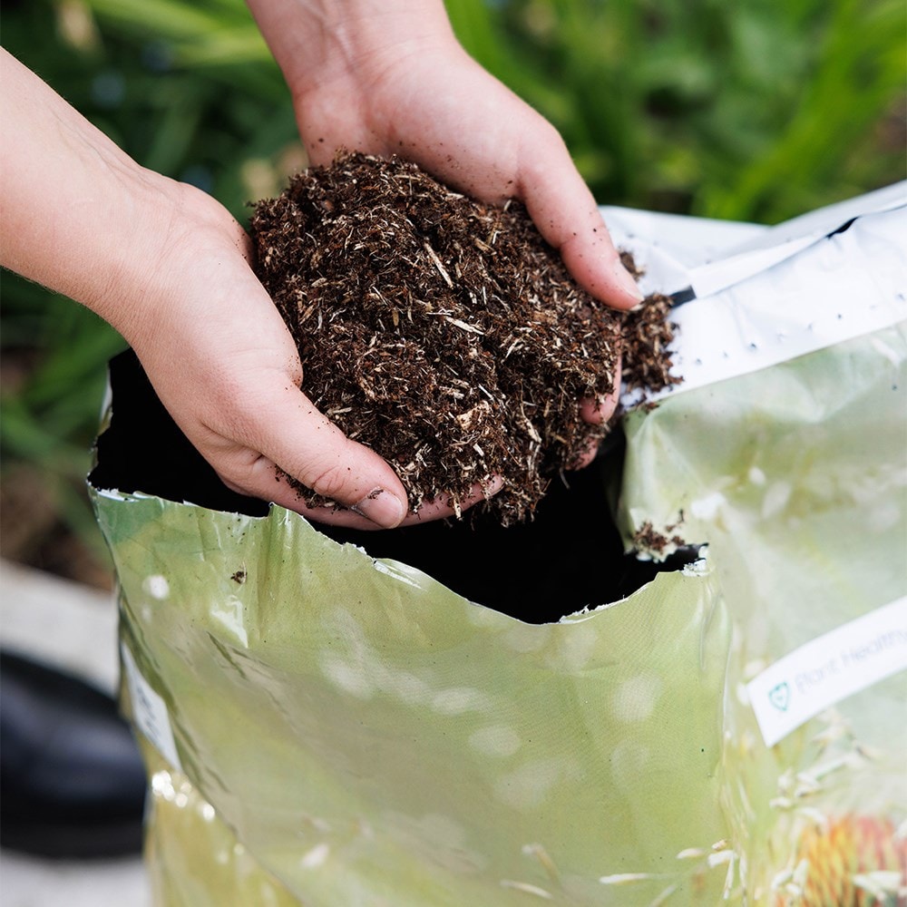 Crocus all purpose compost 
