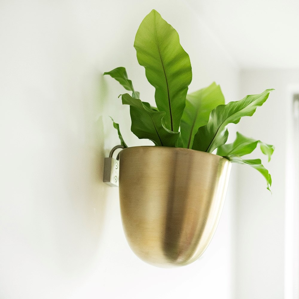 Wall drop pot - brass