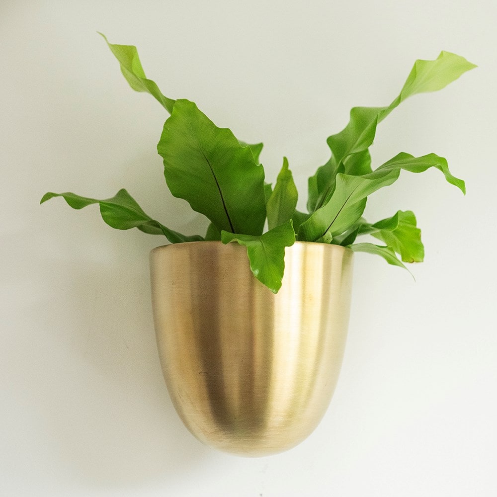 Wall drop pot - brass