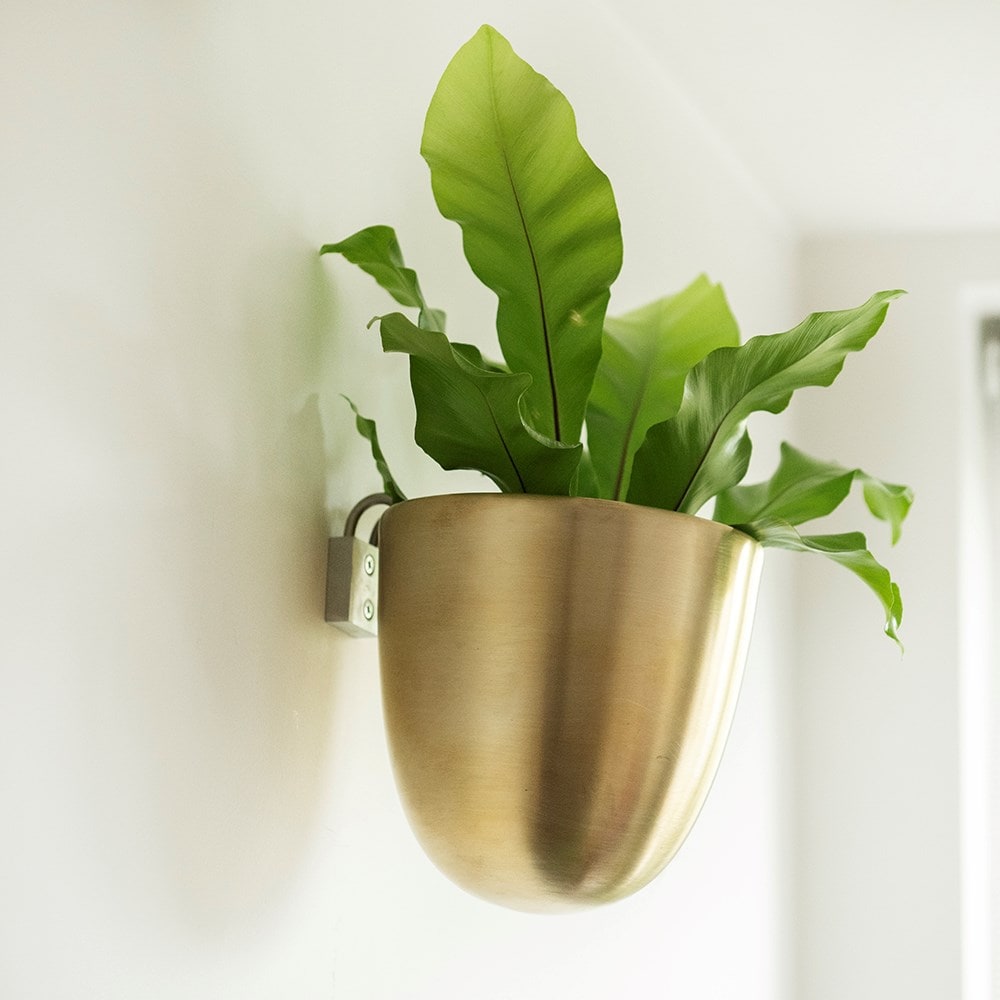 Wall drop pot - brass