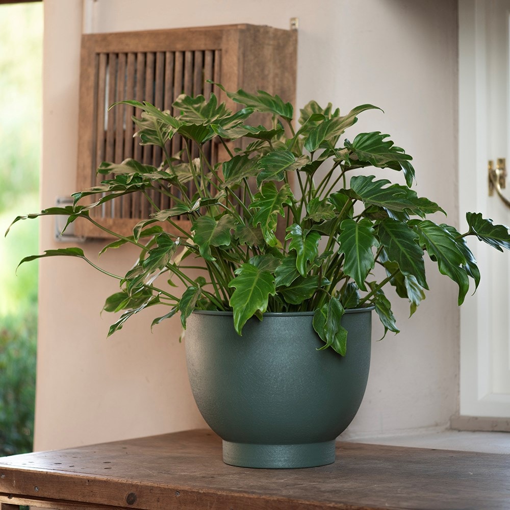 Pot with step base - lichen