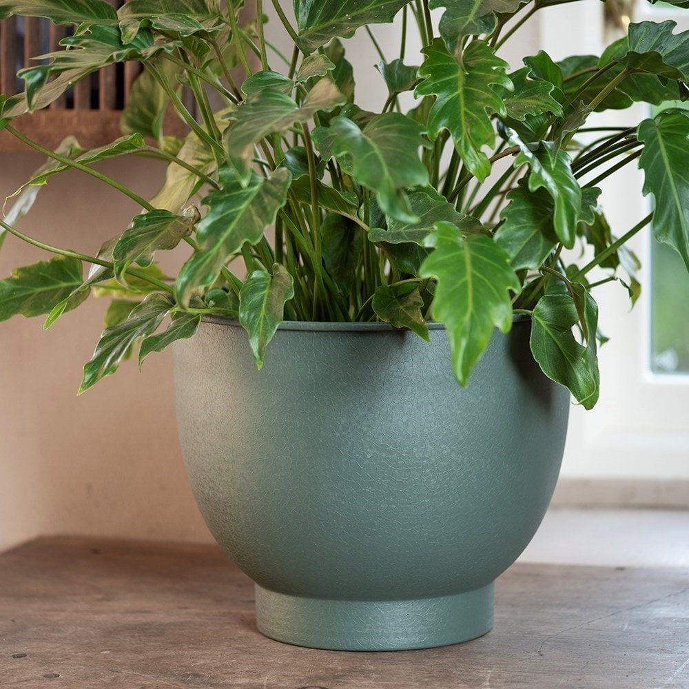 Pot with step base - lichen