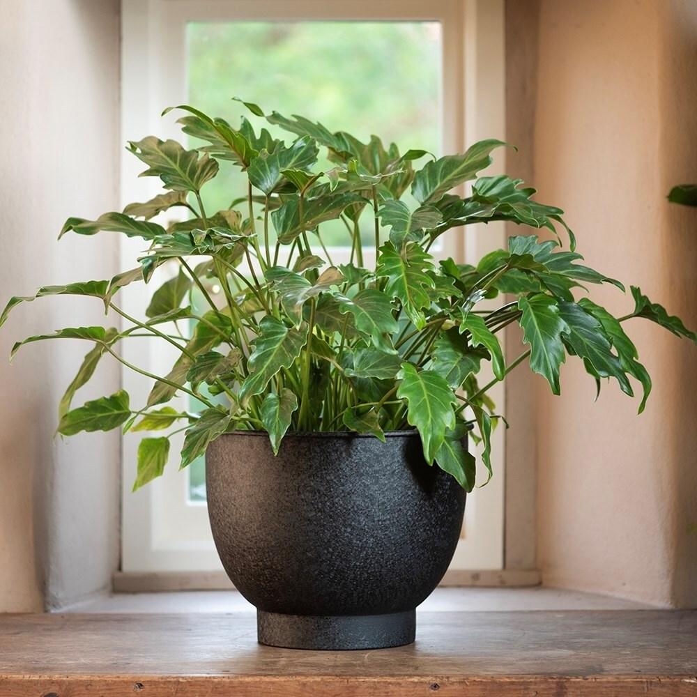 Pot with step base - charcoal