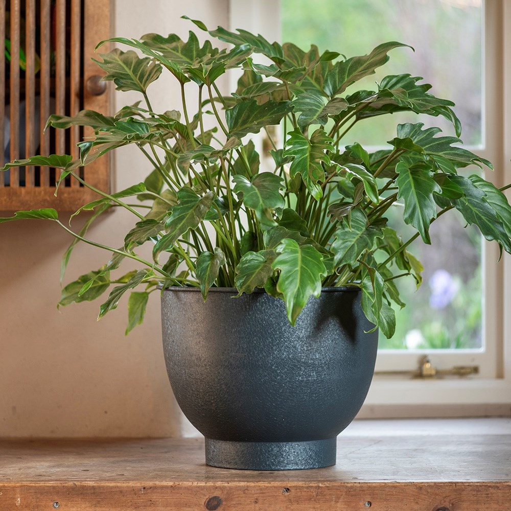 Pot with step base - teal