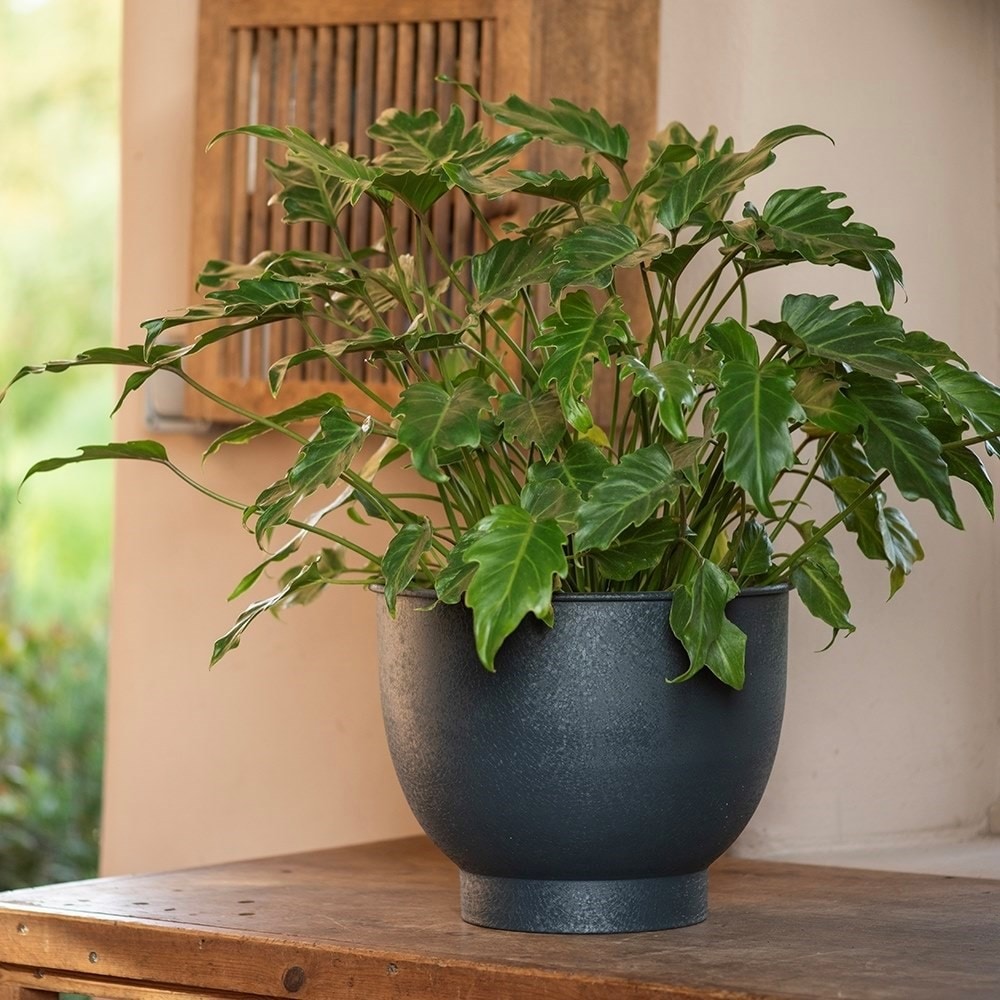Pot with step base - teal