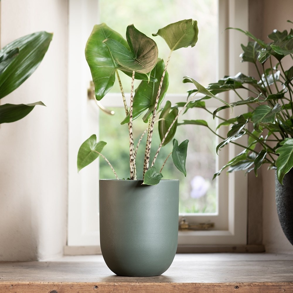 Straight sided pot - teal