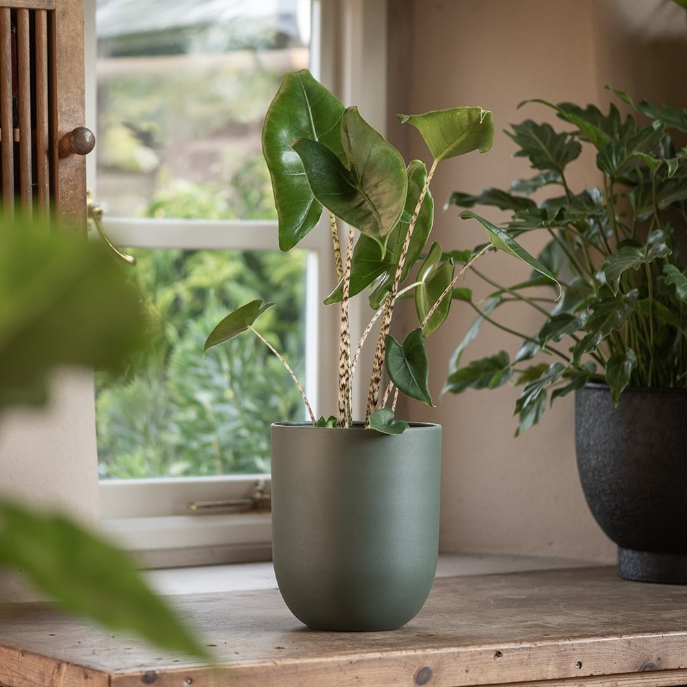 Straight sided pot - teal