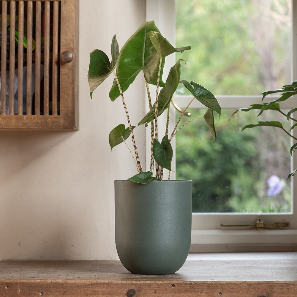 Straight sided pot - teal
