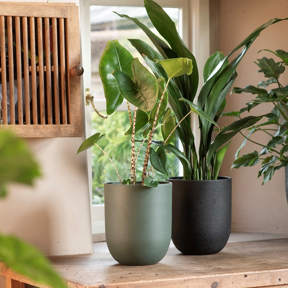 Straight sided pot - teal