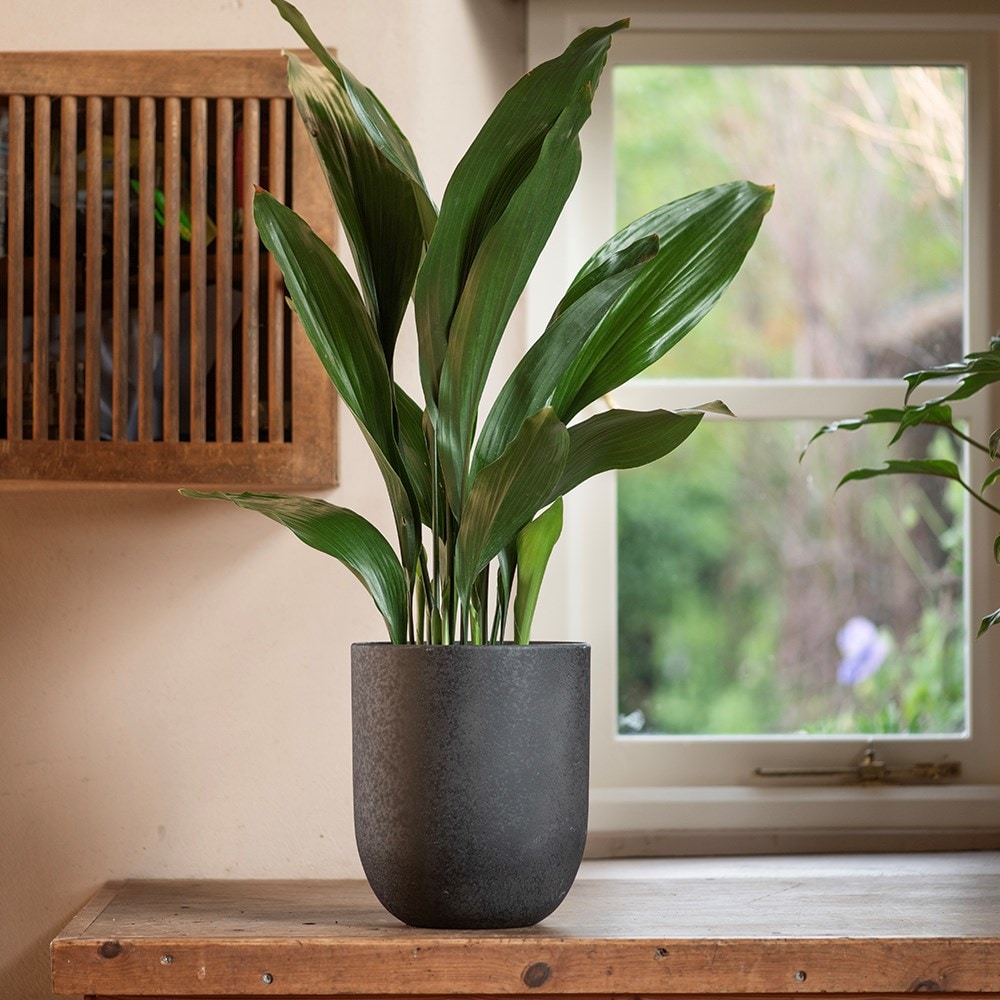 Straight sided pot - charcoal