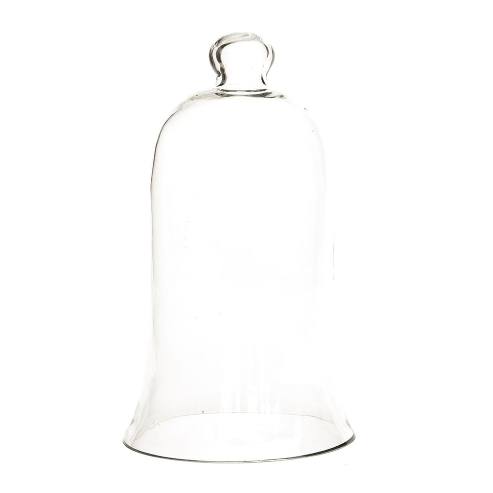 Orchid bell cloche