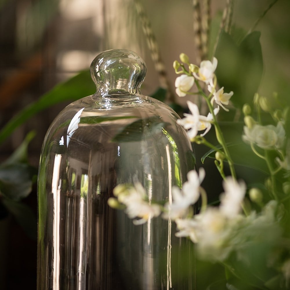 Orchid bell cloche
