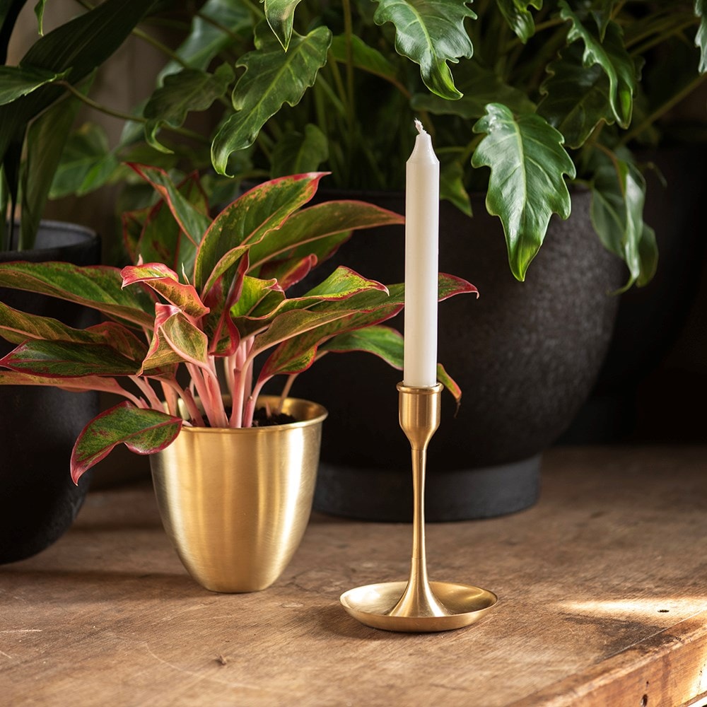 Product options image