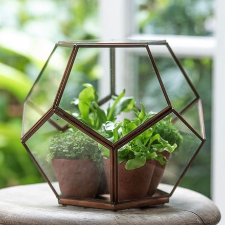 Pentagon terrarium - copper