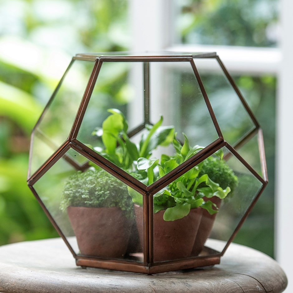 Pentagon terrarium - copper