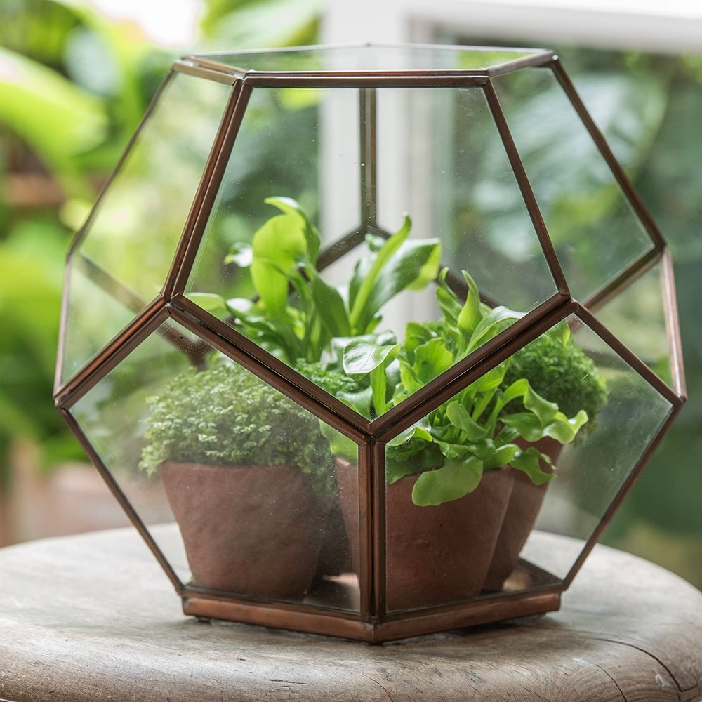 Pentagon terrarium - copper