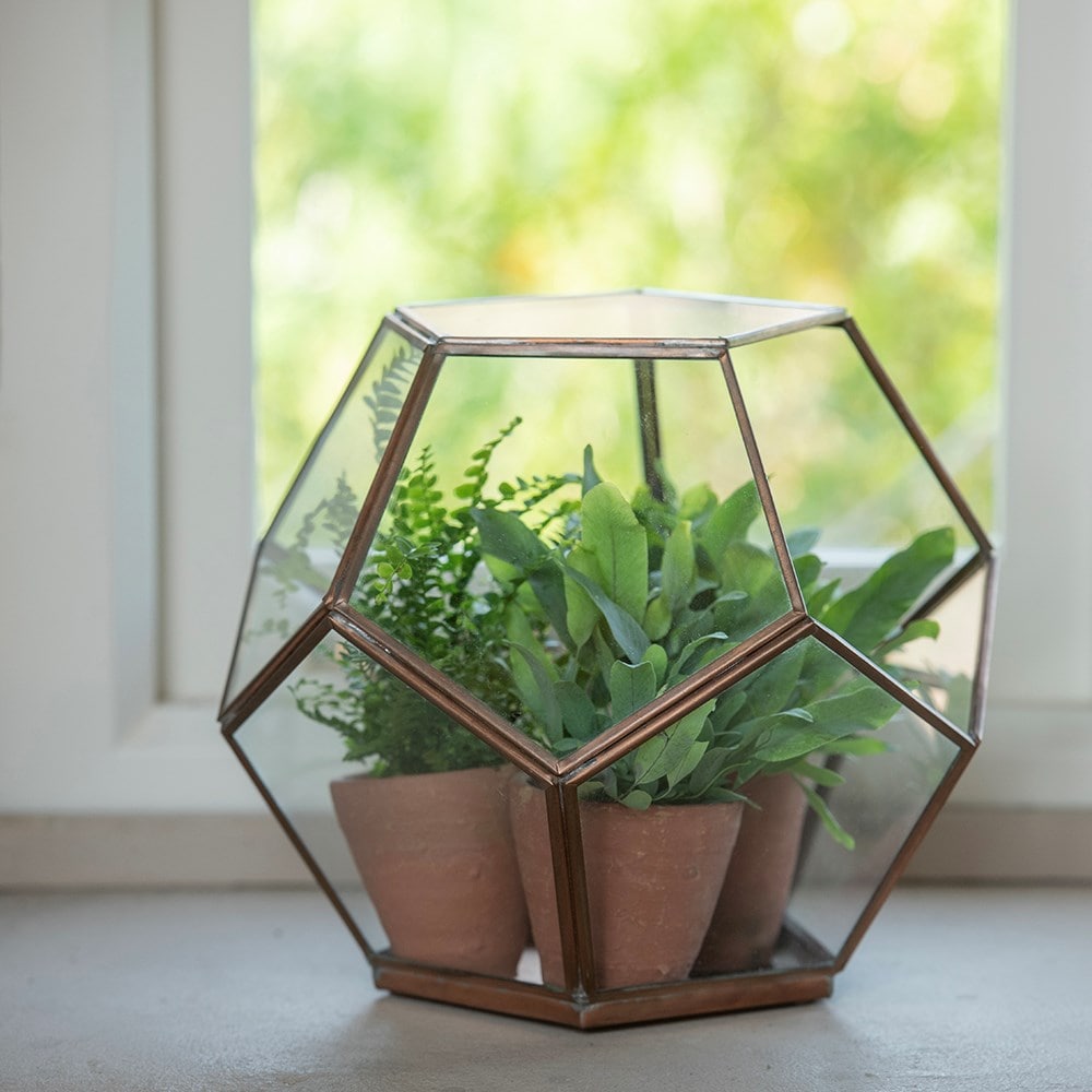 Pentagon terrarium - copper