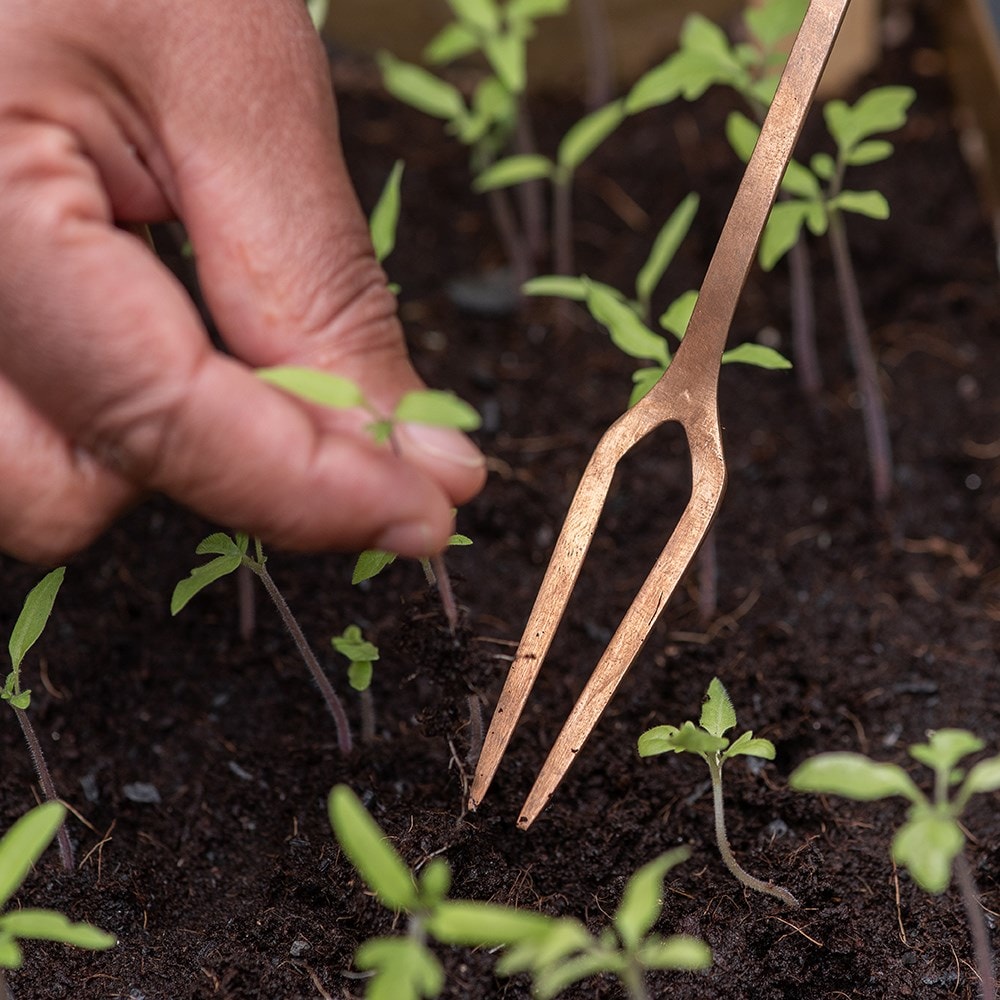 Seedling pricker - copper