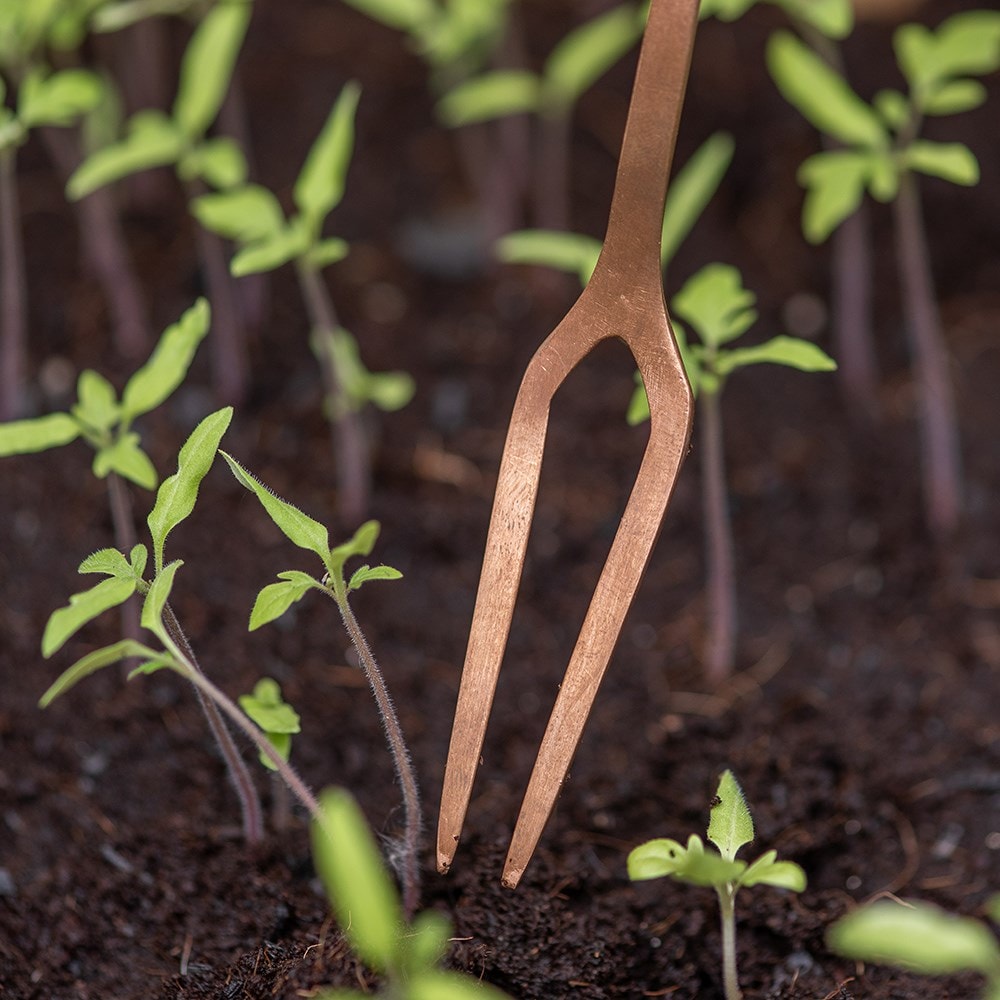 Seedling pricker - copper