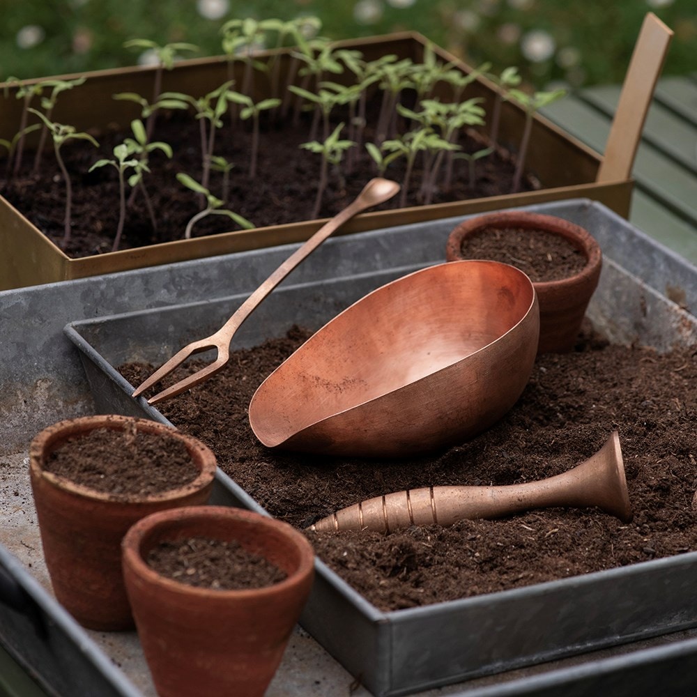 Seedling pricker - copper