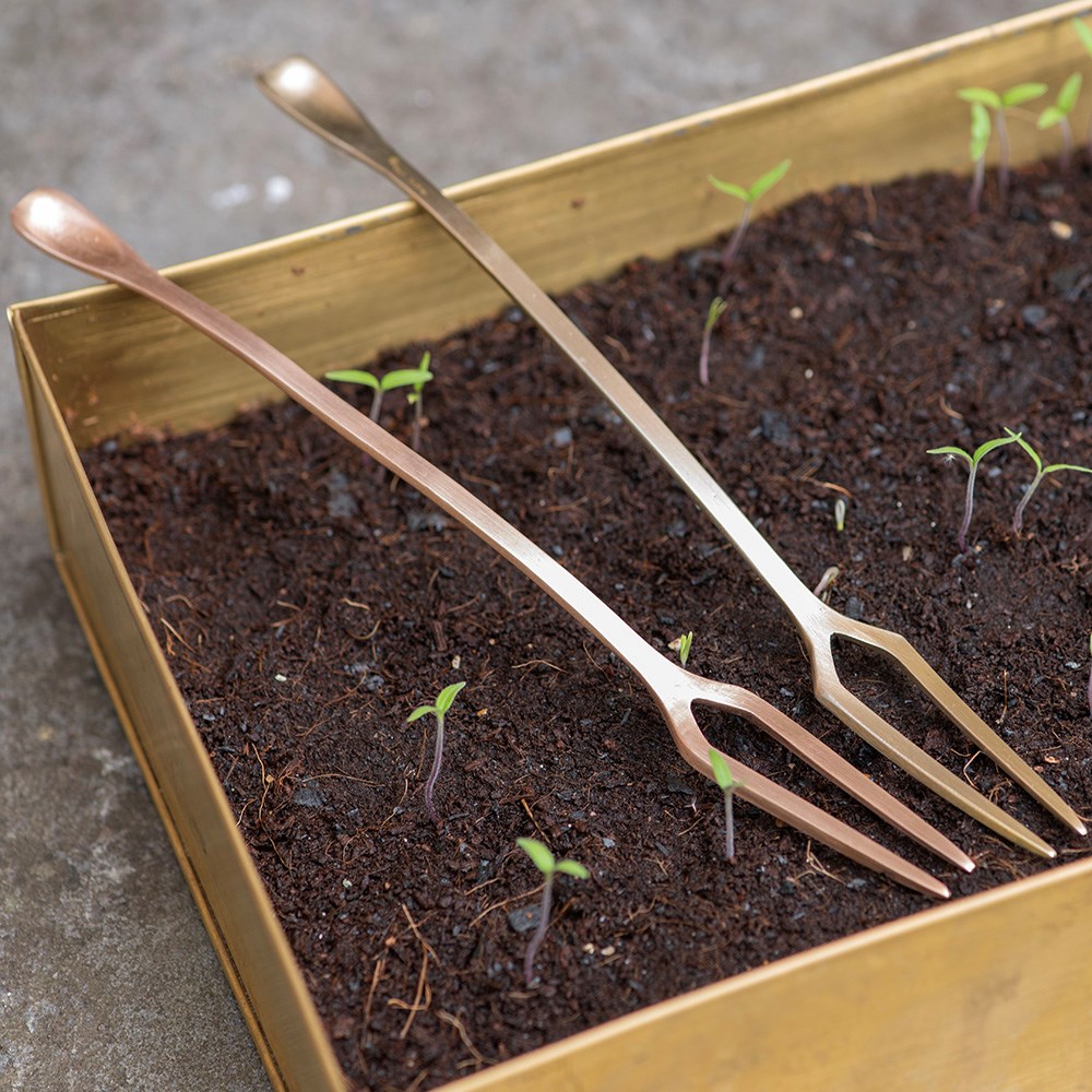 Seedling pricker - copper